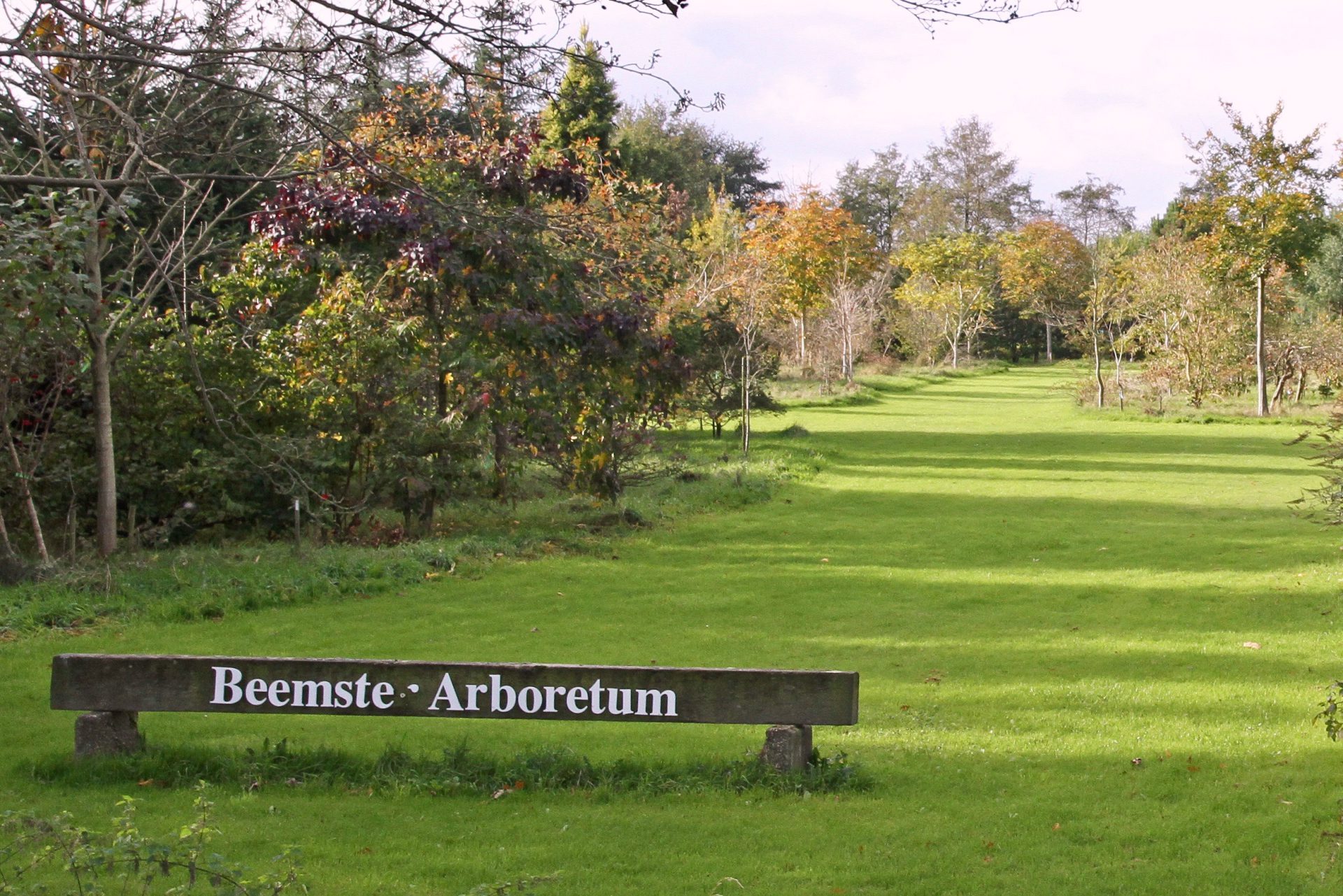 Beemster Arboretum