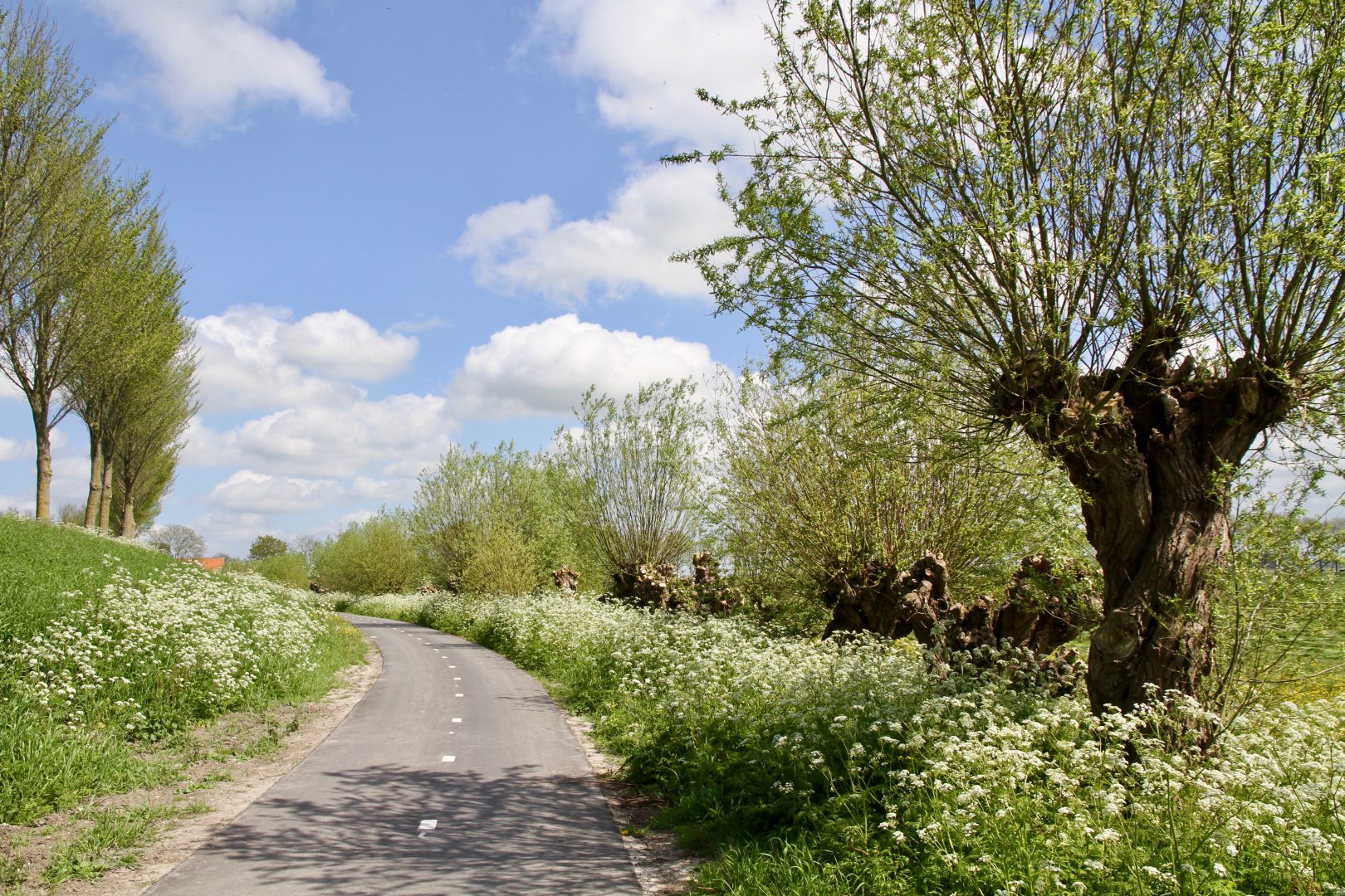 Westdijk – Zuiddijk