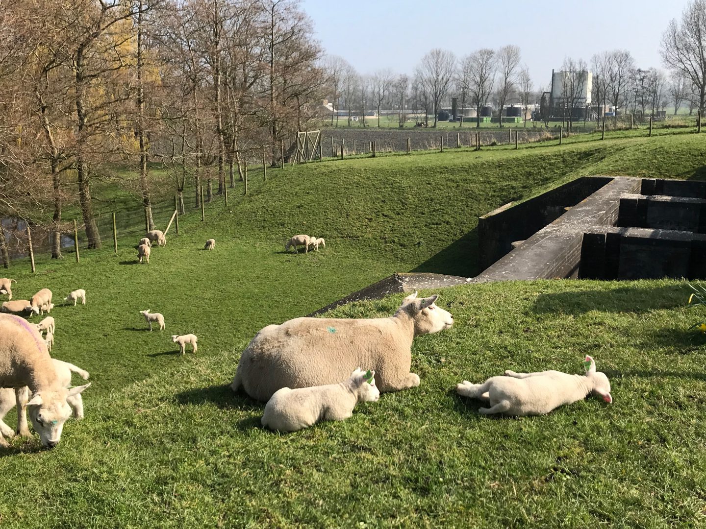 Inundatiesluis in de Zuiddijk