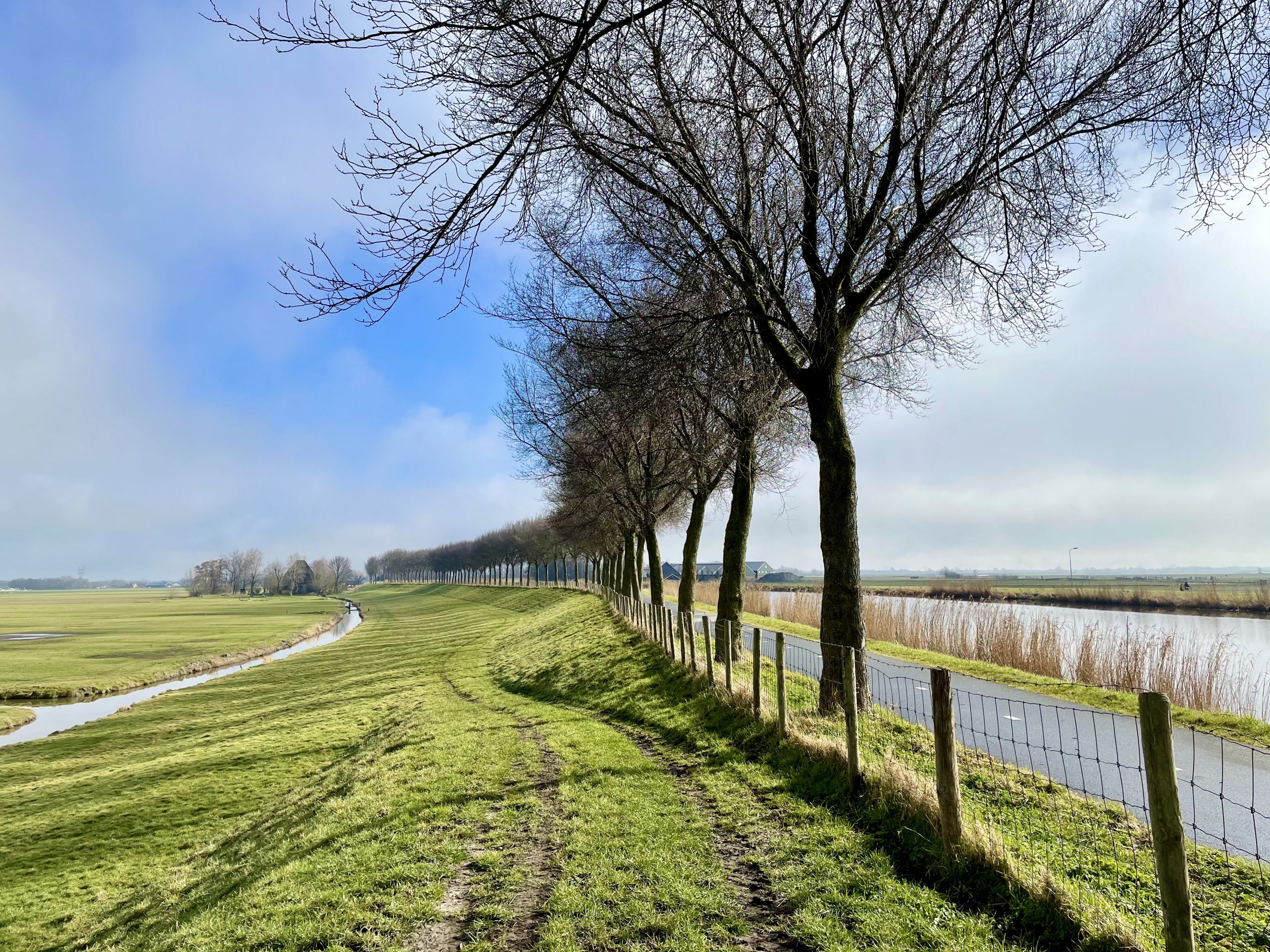 Beemster Zuiddijk met ringvaart IMG_0760