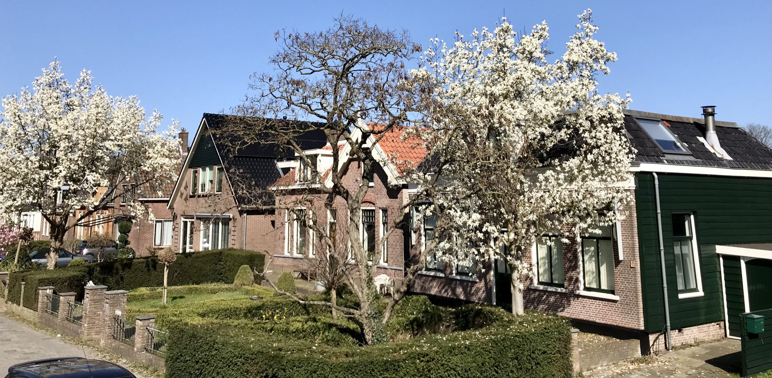 Purmerenderweg buurtje IMG_7209