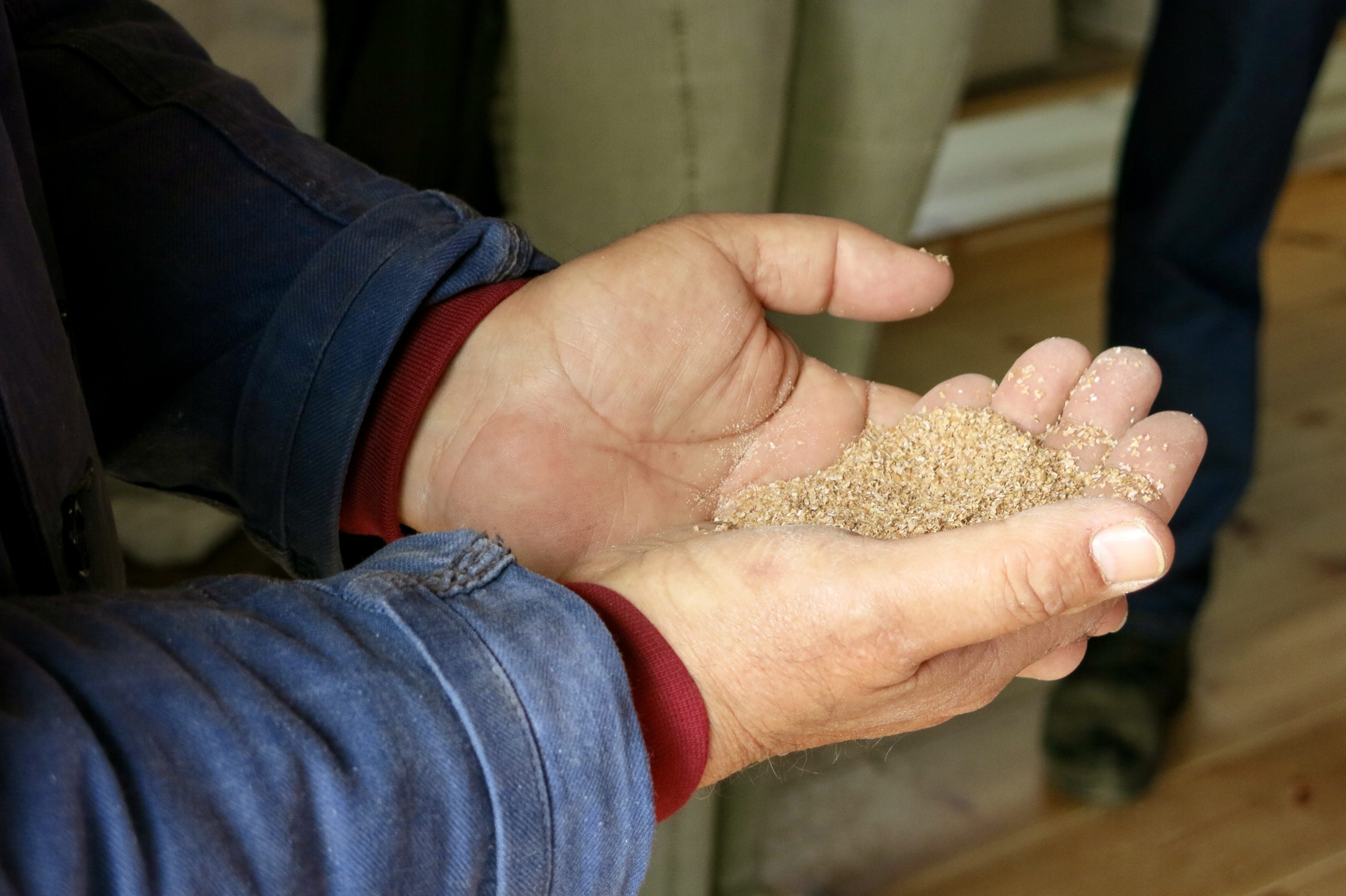 Handje gemalen graan IMG_7619