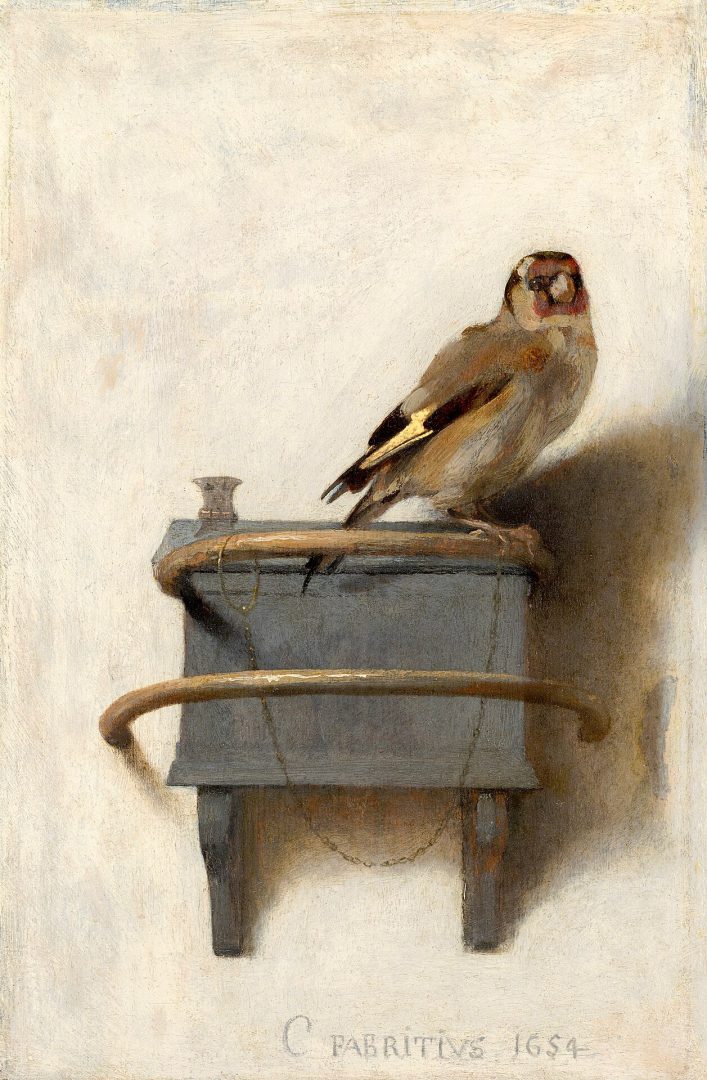 Het puttertje of de distelvink C. Fabritius