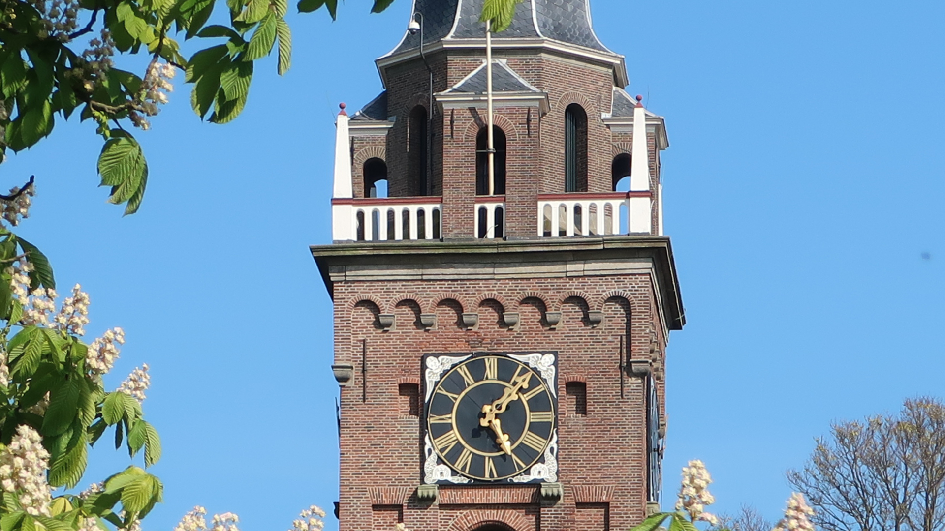 Keyserkerk, toren, trans, klok en bloesem