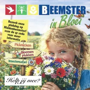 Flyer bloemenplukdag Beemster in bloei