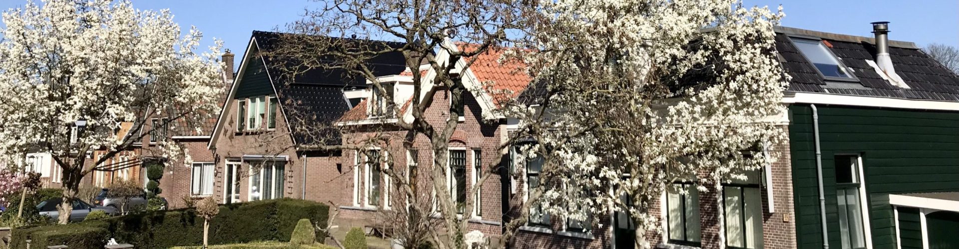 Purmerenderweg buurtje IMG_7209