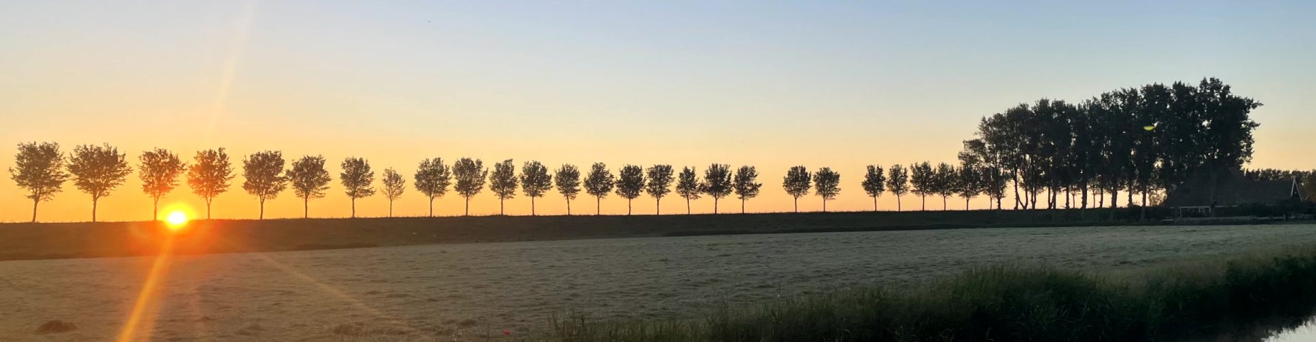 Zonsondergang gezien vanaf de Wormerweg naar de Westdijk met bomenrij.